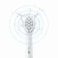 Sonic Brush Close-up